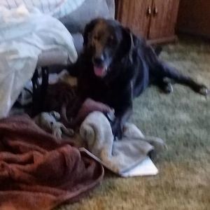 Meet your Posher, Joe